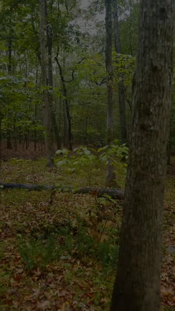 Thumbnail of this post