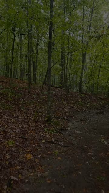 Media thumbnail