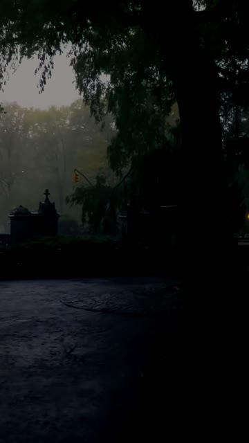 Media thumbnail