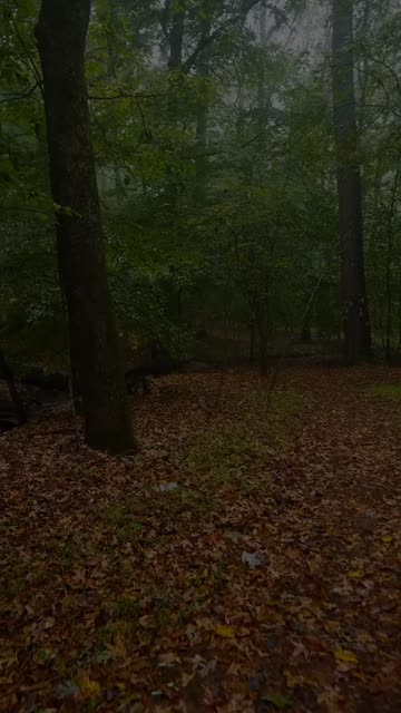 Thumbnail of this post