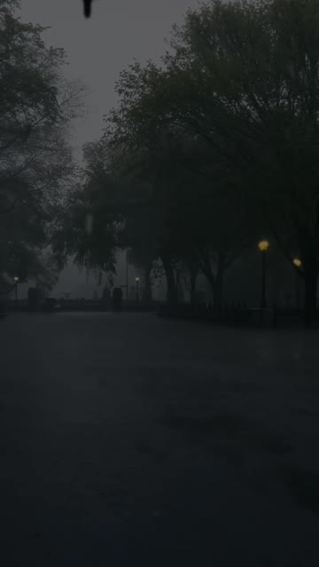 Media thumbnail
