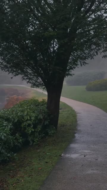 Thumbnail of this post