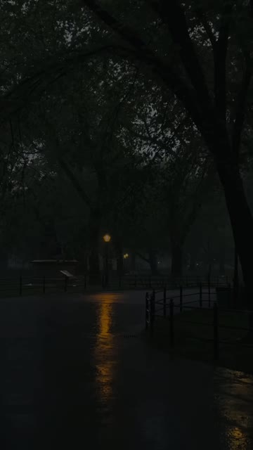 Media thumbnail