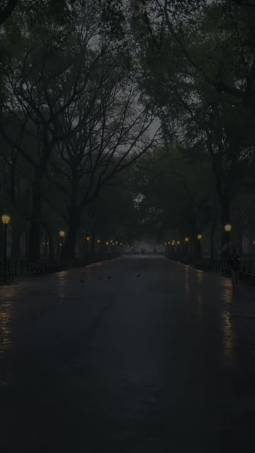 Media thumbnail