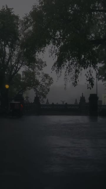Media thumbnail