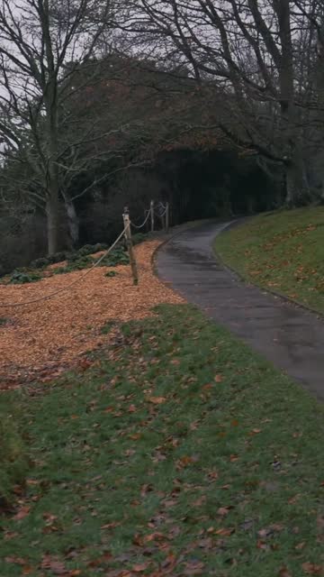 Thumbnail of this post