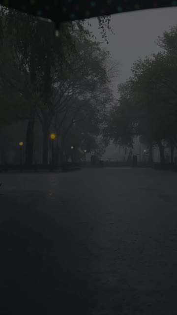 Media thumbnail