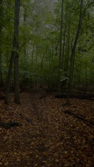Thumbnail of this post