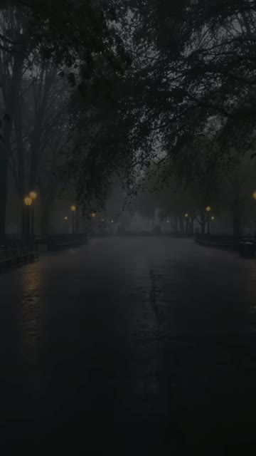 Media thumbnail