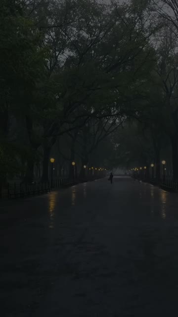 Media thumbnail