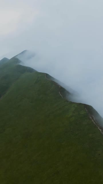 Media thumbnail