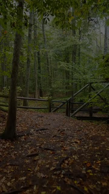 Thumbnail of this post