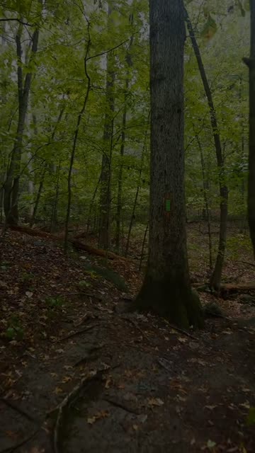 Thumbnail of this post