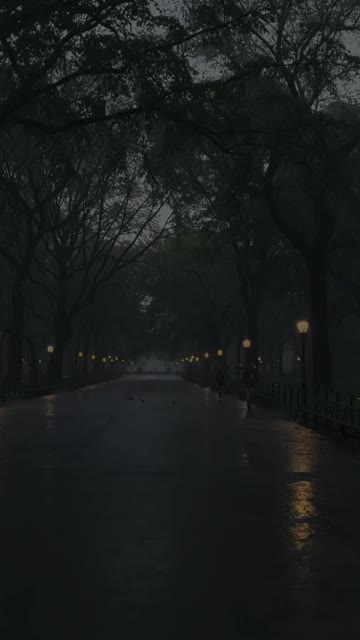 Media thumbnail