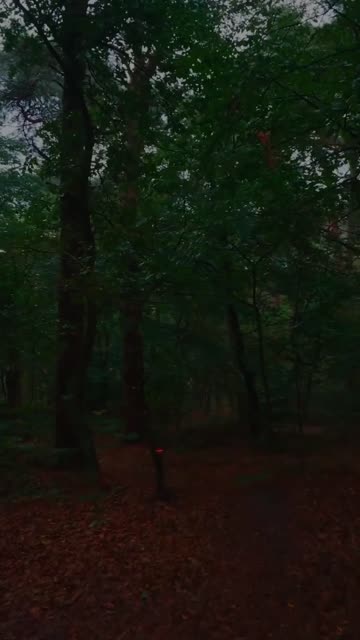 Thumbnail of this post