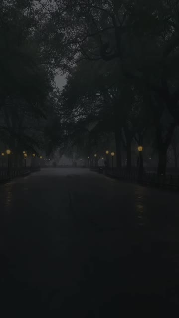 Media thumbnail