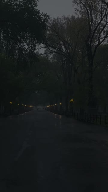 Media thumbnail