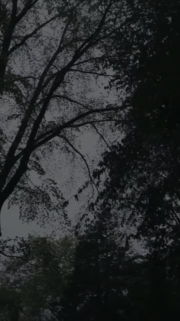 Media thumbnail