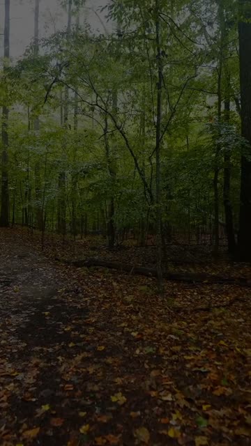 Thumbnail of this post